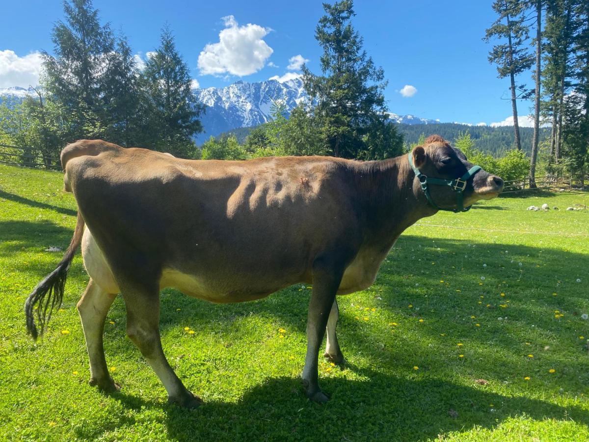 Sweetwater Lane Farm Βίλα Mount Currie Εξωτερικό φωτογραφία