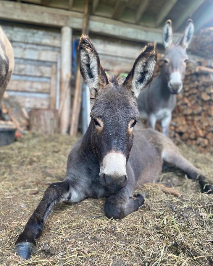 Sweetwater Lane Farm Βίλα Mount Currie Εξωτερικό φωτογραφία