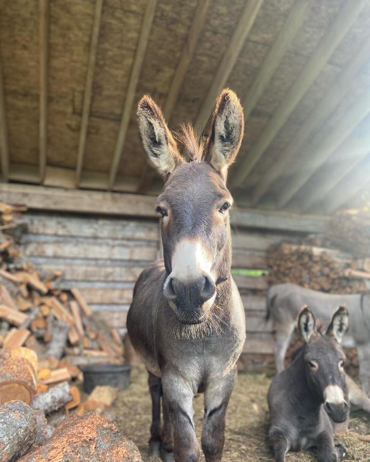 Sweetwater Lane Farm Βίλα Mount Currie Εξωτερικό φωτογραφία